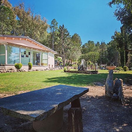 Memento Bed and Breakfast Ossi Εξωτερικό φωτογραφία