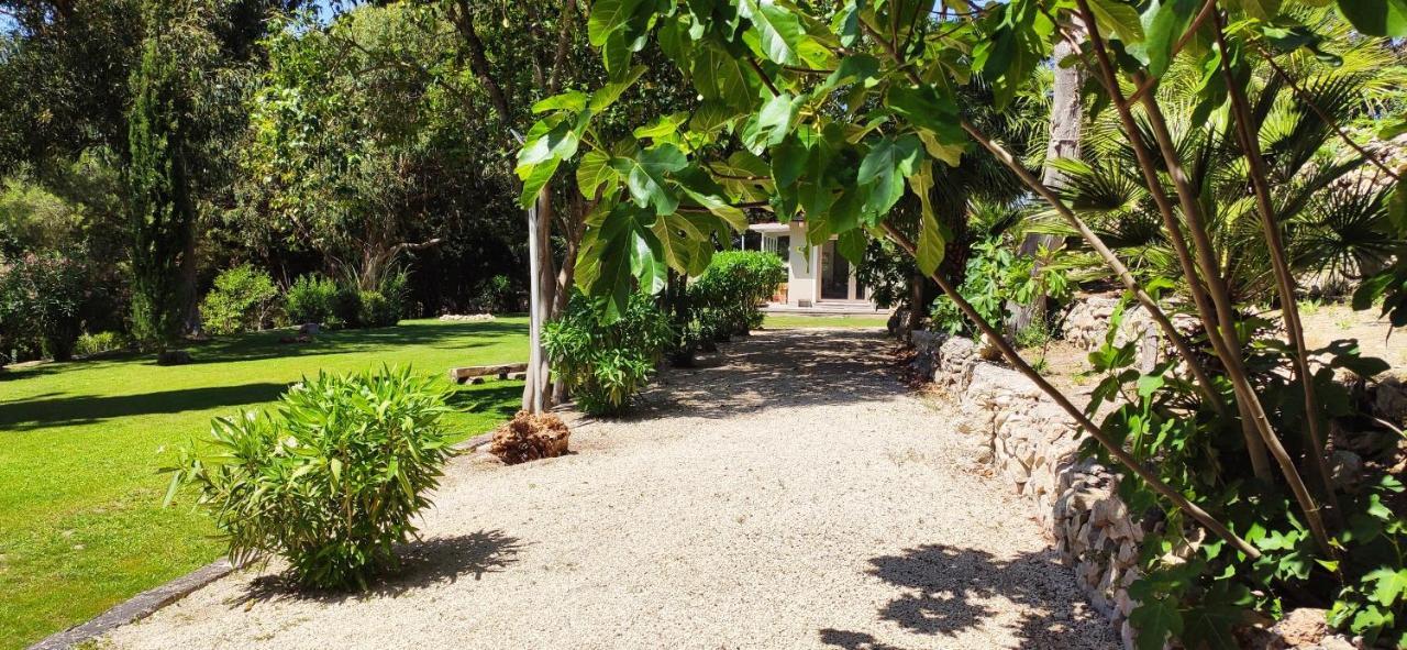 Memento Bed and Breakfast Ossi Εξωτερικό φωτογραφία